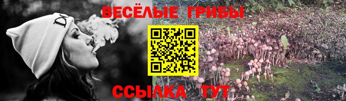 Костомукша  Псилоцибиновые грибы мухоморы  Вход с VPN 